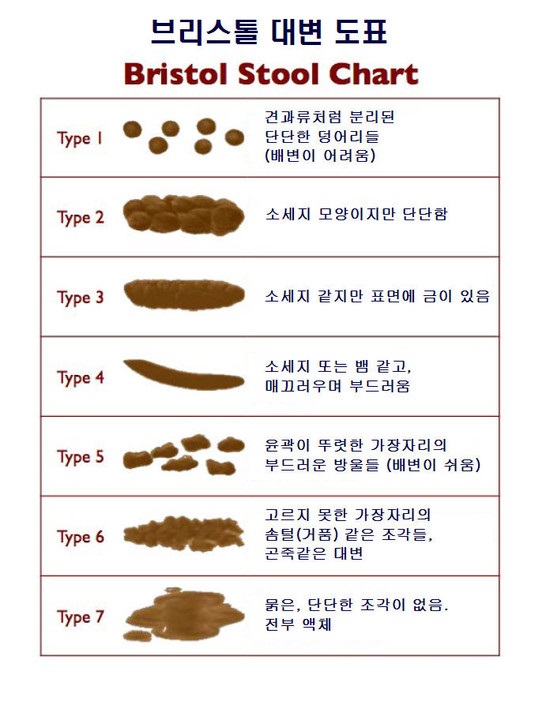 속시원내과 대변 2